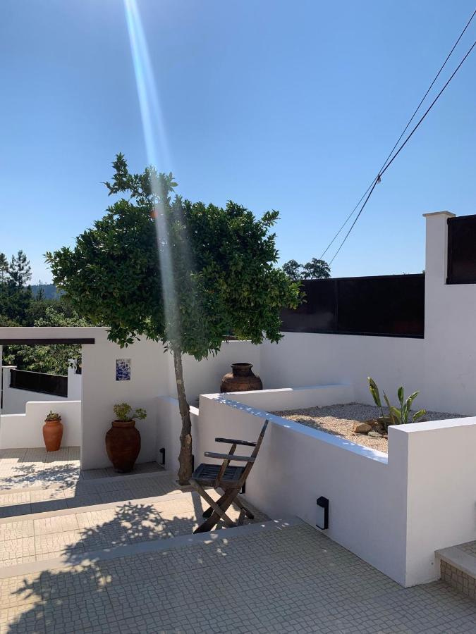 Casa Da Oliveira Bed & Breakfast Pedrogao Grande Exterior foto