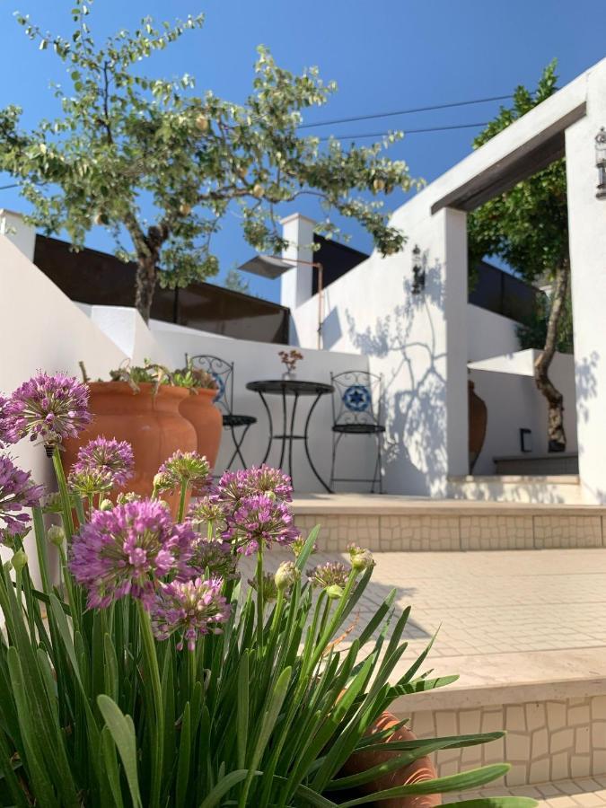 Casa Da Oliveira Bed & Breakfast Pedrogao Grande Exterior foto