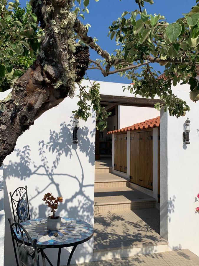 Casa Da Oliveira Bed & Breakfast Pedrogao Grande Exterior foto