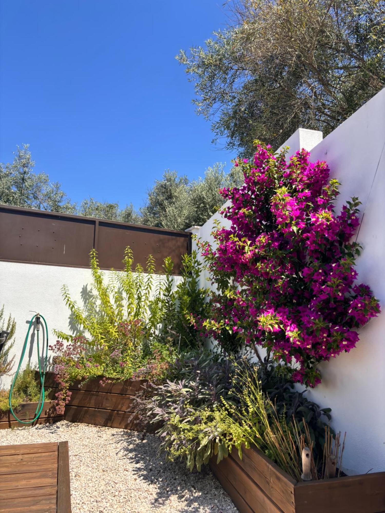Casa Da Oliveira Bed & Breakfast Pedrogao Grande Exterior foto